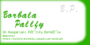 borbala pallfy business card